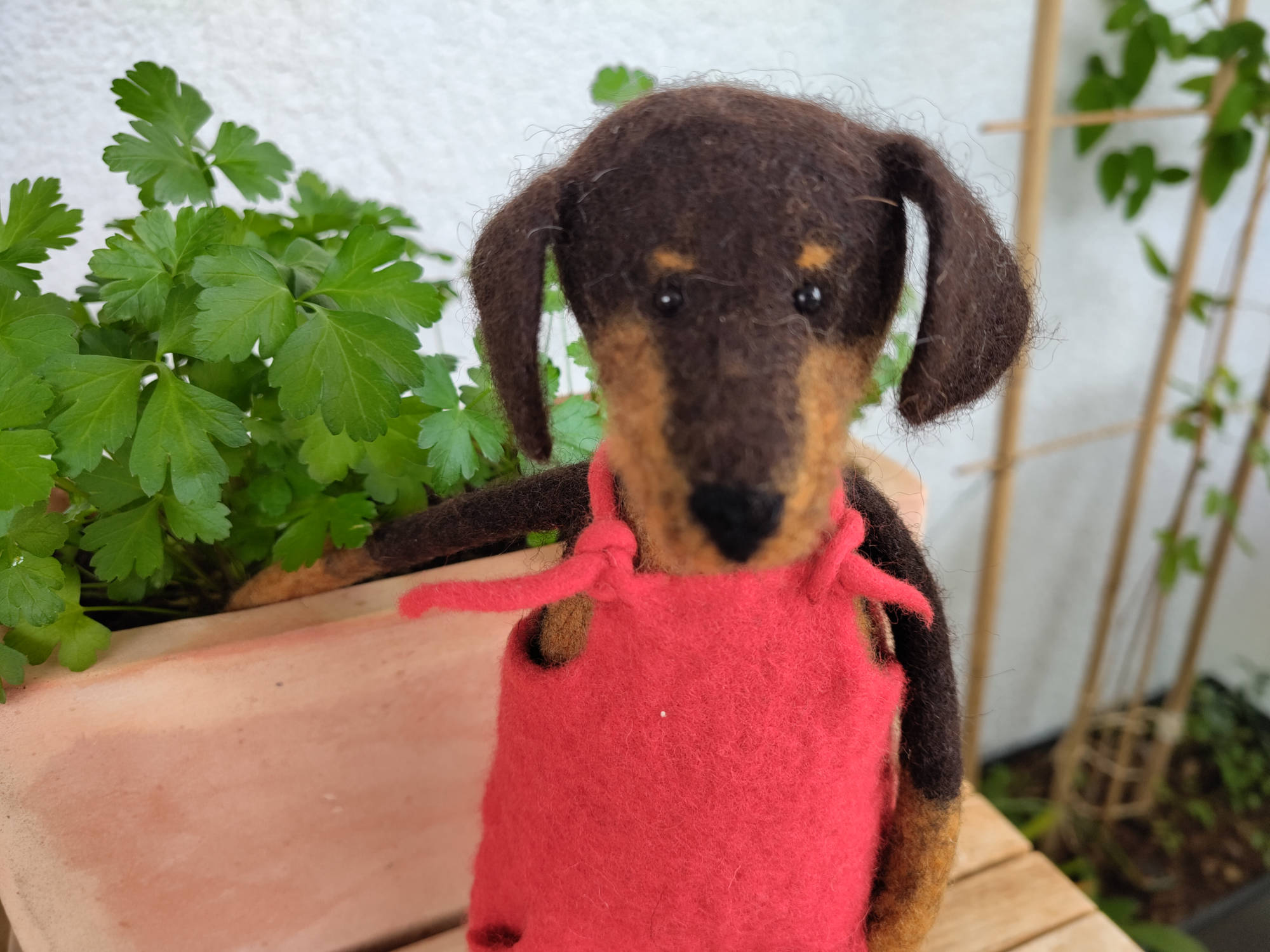 Filzdackel mit roter Latzhose