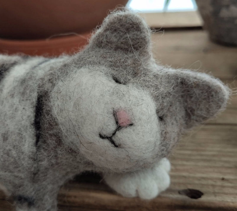 Gra getigerte schlafende Filzkatze