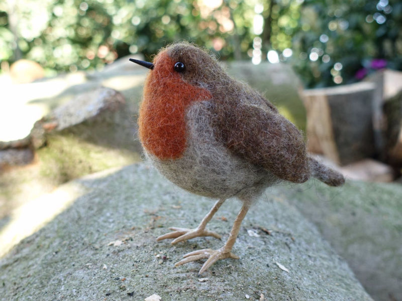 Rotkehlchen im Wald