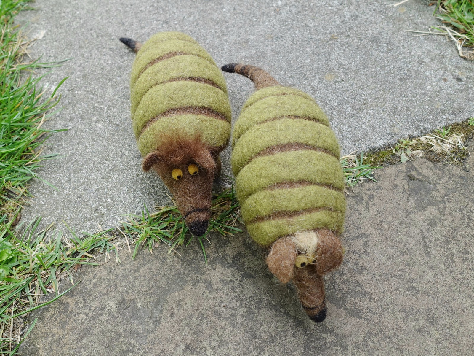 Zwei gefilzte Gürteltiere von vorne