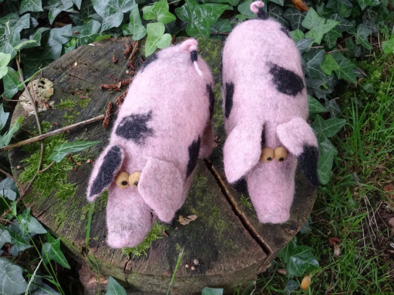 zwei gefilzte Bentheimer Landschweine auf der Wiese