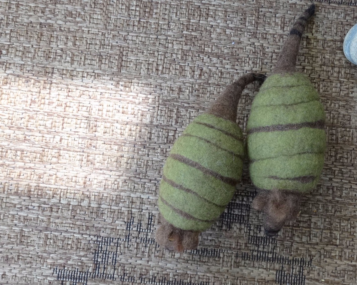 Zwei gefilzte ,grnew Gürteltiere von oben