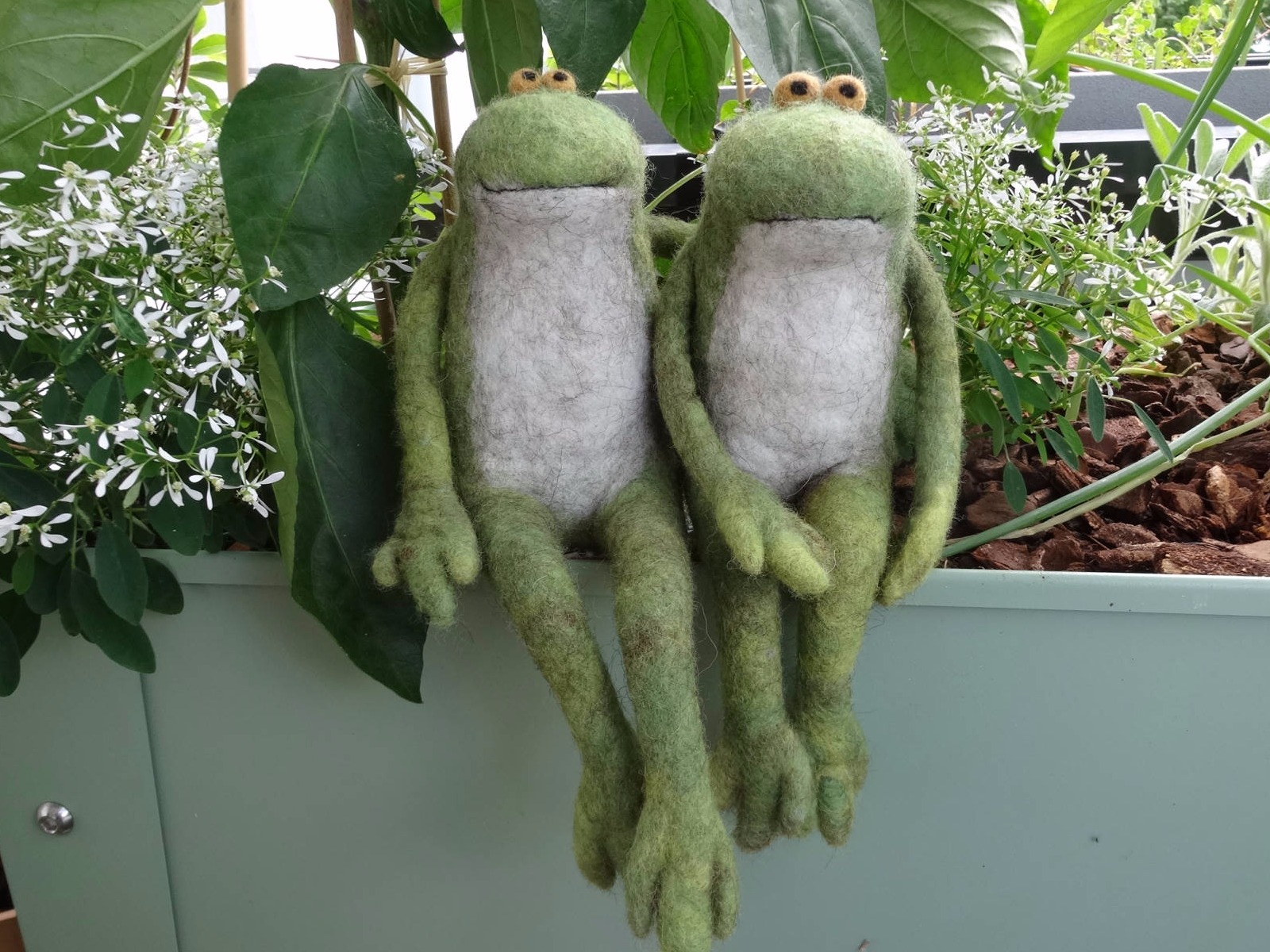 Zwei Filz- Frösche im Blumenkasten
