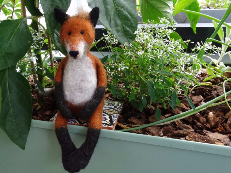 Filzfuchs, sitzt im Gartenbeet