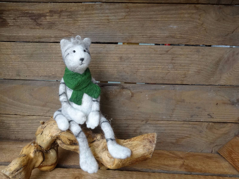 Gau/getigerteFilzkatze mit grünem Schal