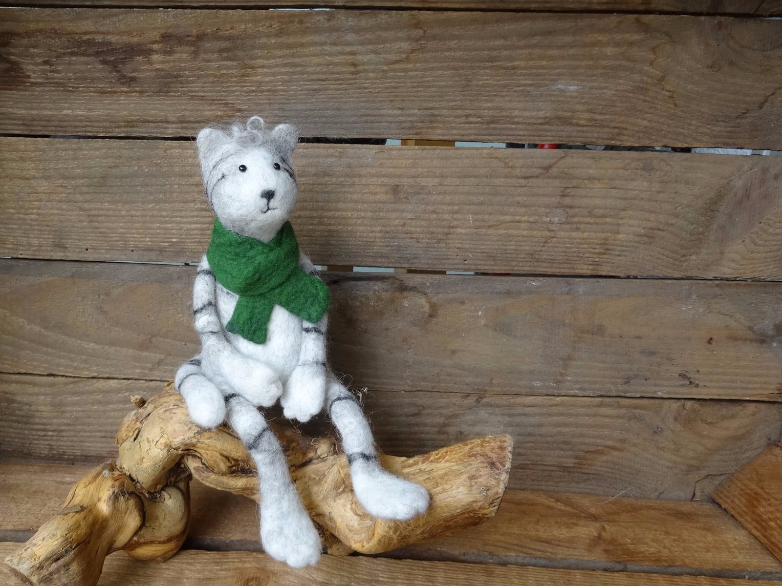 Gau/getigerteFilzkatze mit grünem Schal