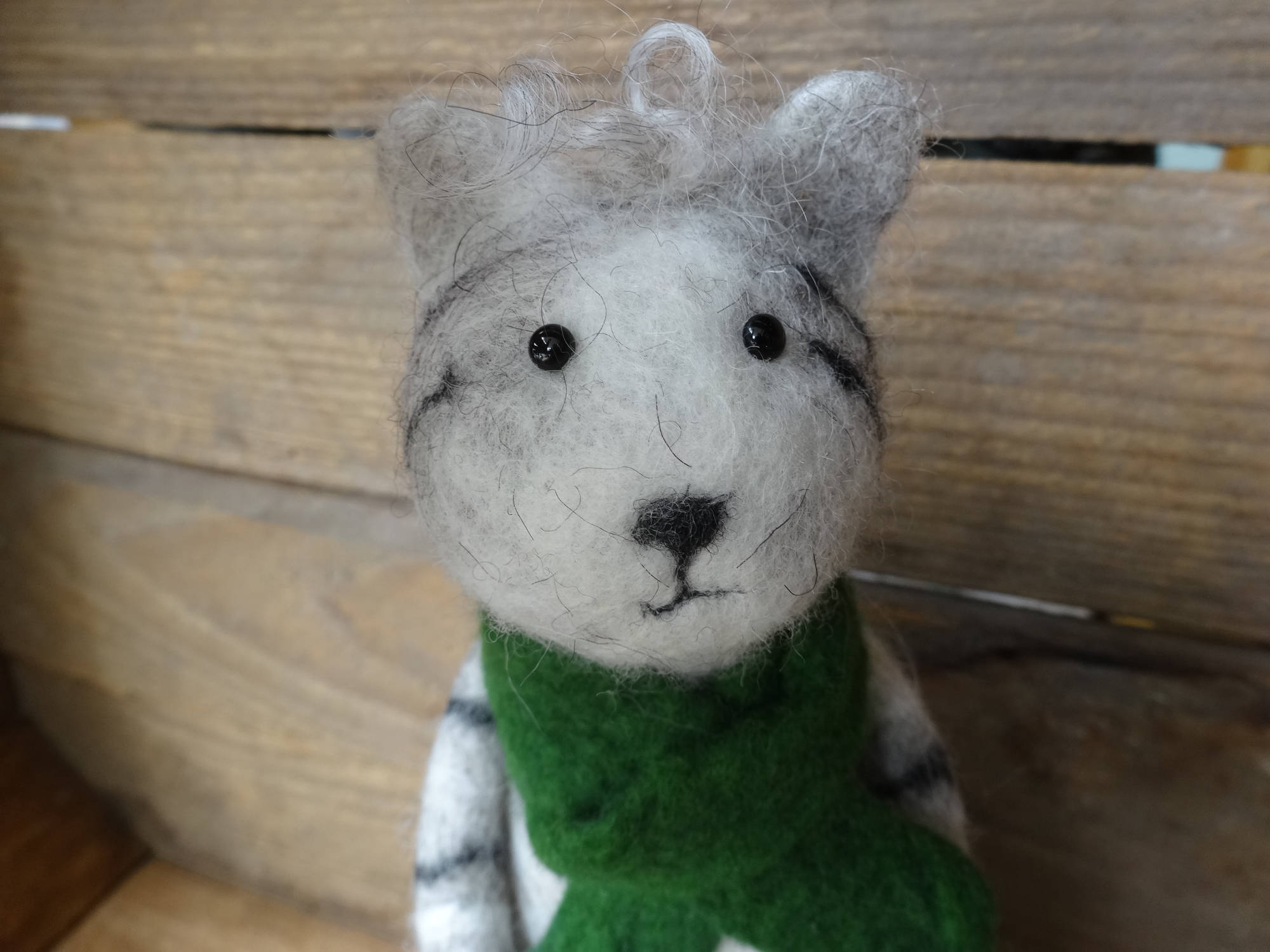 Grau/getigerte Filzkatze mit grünem Schal