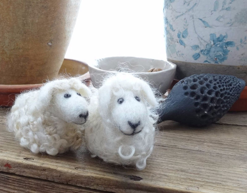 Gefilztes schwarzes Schäfchen