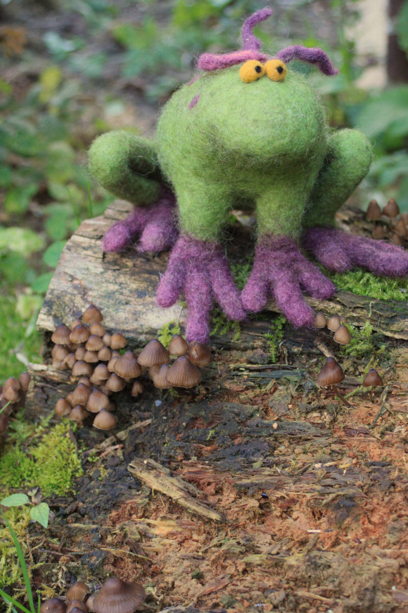 Filzfrosch